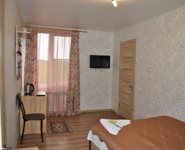 Одноместный номер в Sheremet