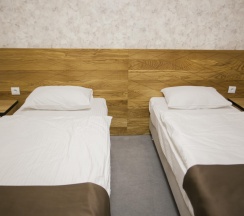 Номер стандарт с 2 односпальными кроватями (мансарда) в Альпина