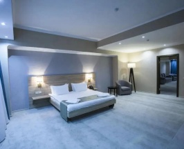 Двухместный люкс Superior двуспальная кровать в RENION PARK HOTEL