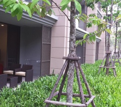 Апартаменты в Baan Mai Khao Beach Residence