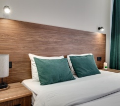 Номер стандарт с 1 двуспальной кроватью в Seven hills