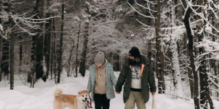 Пушкинский городской округ: Коттедж Озеро белых лилий