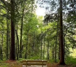 Комната в Валдай.Пространство мечты