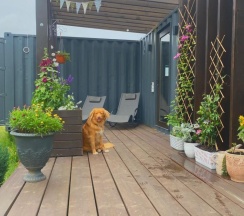 Дом у Ивы в Лес и Луга