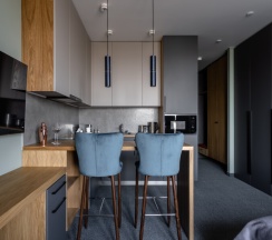 Апартамент 5 - Делюкс  с панорамным видом на Парк Победы (с душем) в Ap-in aparts