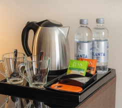 Business Double в Gorskiy city hotel