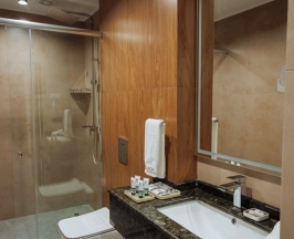 Одноместный номер Standard в Aurum Garden Hotel