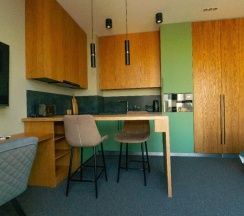 Апартамент 10 Двухместный Полулюкс  с потрясающим видом на Москва Сити (с душем) в Ap-in aparts