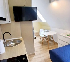 1-местный номер студия (мансарда) в Апарт-отель