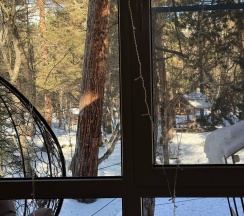 Дуплекс в Горная жемчужина