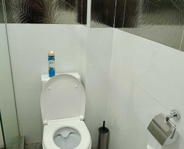 Улучшенный семейный в Astoria