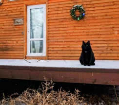 Шампань tiny house в Шведские дачи