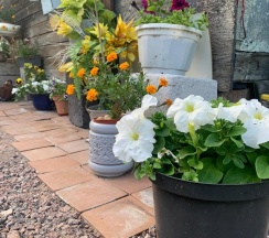 Коттедж стандарт в Олта