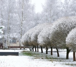 Морской домик в Дом на лесной опушке