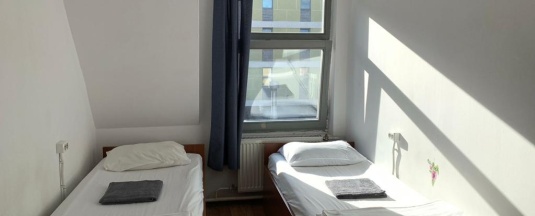 Птичка раздельная с окном в Петя и волк