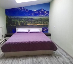 Номер стандарт с 1 двуспальной кроватью в Точка Байкала