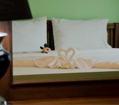 Одноместный номер Standard в Tamali Hotel
