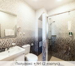 Полулюкс + (2 корпус) в К-визит