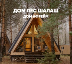 Уютный а-фрейм с качелью (до 4 гостей) ЛЕС-ШАЛАШ в Berloga Country Resort