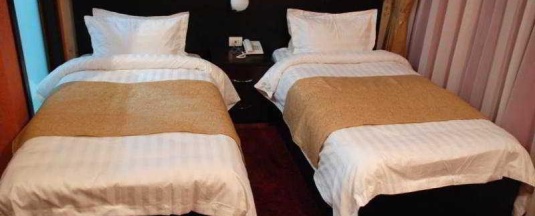 Двухместный номер Standard в Alp inn