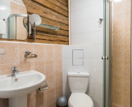 Двухместный номер Classic двуспальная кровать в Стромынка