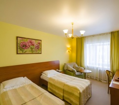 Стандарт 2 раздельные в Александровский