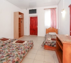 Стандартный 3х местный номер 3 этаж в Green oasis Vavilon