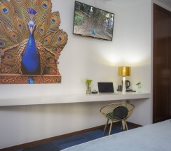 Одноместный семейный номер Standard в Casual Ilbira Granada Hotel