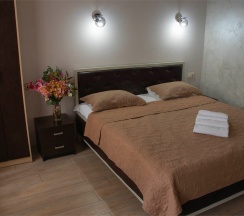 Стандарт Плюс (двухместный номер с одной двуспальной кроватью + доп.место) в Заречье