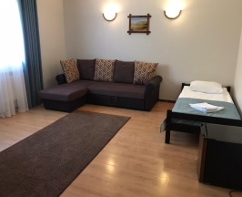 Номер стандарт семейный в Альпийский двор