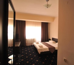 2-местный 1-комнатный номер комфорт стандарт в Максимус