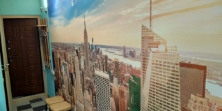 Раменское: Апартаменты Квартира Студия New York