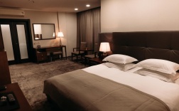 Номер люкс стандарт с 1 двуспальной кроватью (с завтраком) в Sagaan Morin Hotel