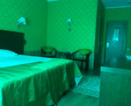 полулюкс двухместный в Нев-Отель