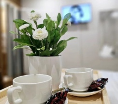 Делюкс в Чили