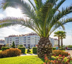 Стандарт 1-местный (Standard Single) в Спортивный Квартал