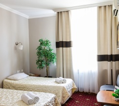 Двухместный стандарт в Аристоль