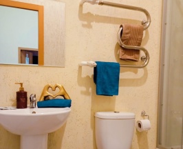 Номер эконом с 1 двуспальной кроватью (без окна) в Бестужев