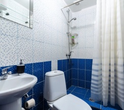 семейный классический номер в Bronnitskaya