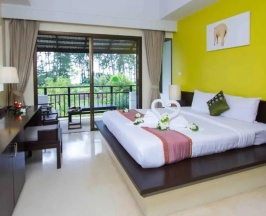 Двухместный номер Superior (двуспальная кровать) в Palm Galleria Resort