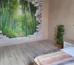 Двухместный Джуниор сюит двуспальная кровать в Звёздный дом