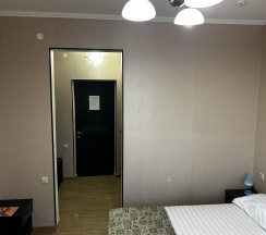 Номер комфорт с 1 двуспальной кроватью в Спарта