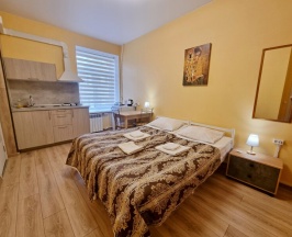 Апартамент двухместный в Новые Комнаты