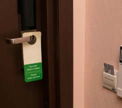 Двухместный номер Standard двуспальная кровать в Лион