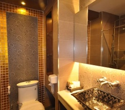 Одноместный номер Superior в Chalelarn Hotel