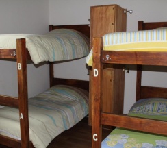 Кровать в общем номере в The Cranky Croc Hostel