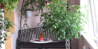 Ясная Поляна: Отель Ясная Поляна