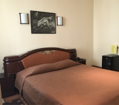 Комфорт с одной двуспальной кроватью в Кронотель