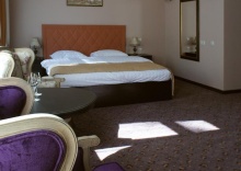 Номер делюкс с 1 двуспальной кроватью (с завтраком) в Гайдпарк