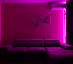 COMFORT – 252 в Gosh.rent